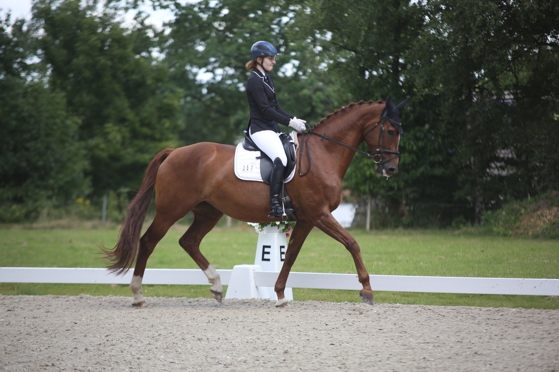 Turnier_14 Turnier_14